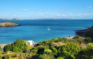 Adaskell dans &quot;Les Anglos&quot;