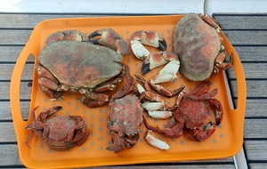 une des pêches de Yéyé 