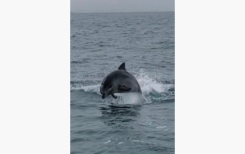 Quelques belles images...