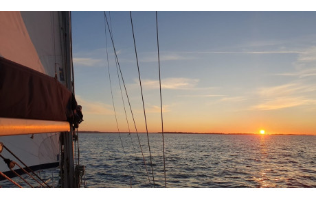 Nardoa dans la piaule 