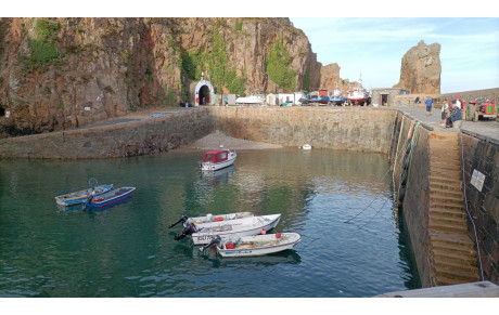 Adaskell sur le retour 